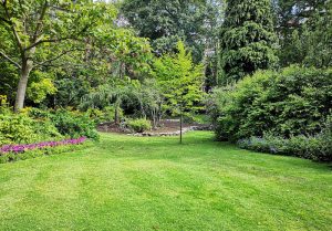 Optimiser l'expérience du jardin à Juignac